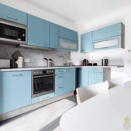 Pineapple Apartments Dresden Zwinger IV - 65 Qm - 1X Free Parking Exterior foto